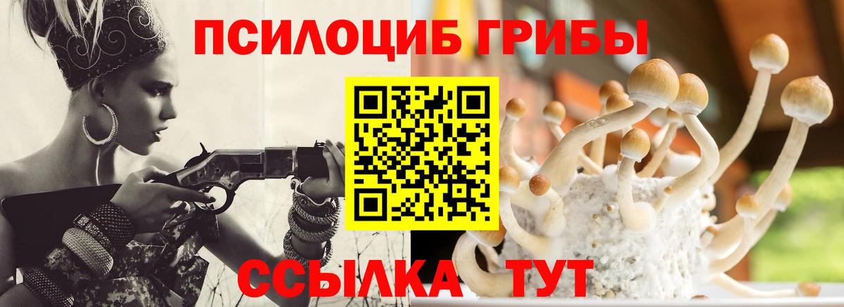 Галлюциногенные грибы MAGIC MUSHROOMS Владимир