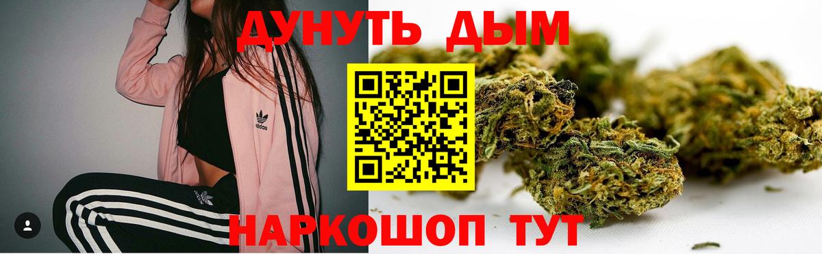 Конопля Amnesia Владимир
